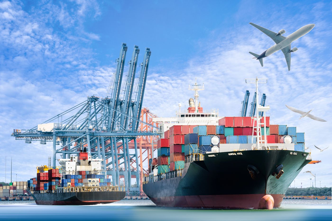 NZOTA Cargo international freight at port